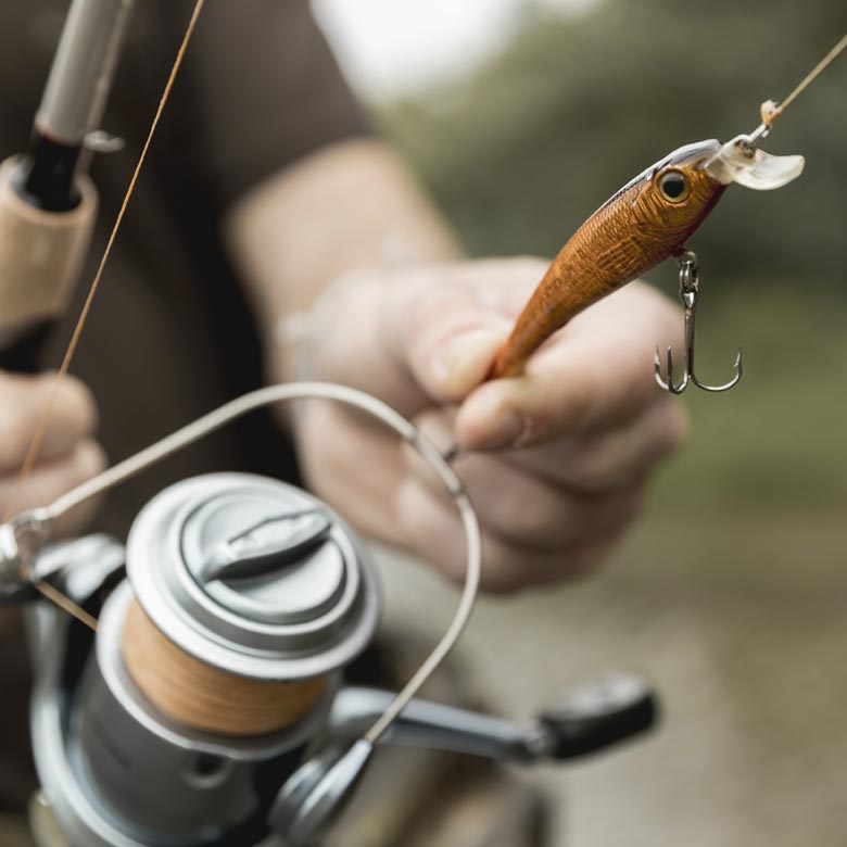 fisher-courses-3