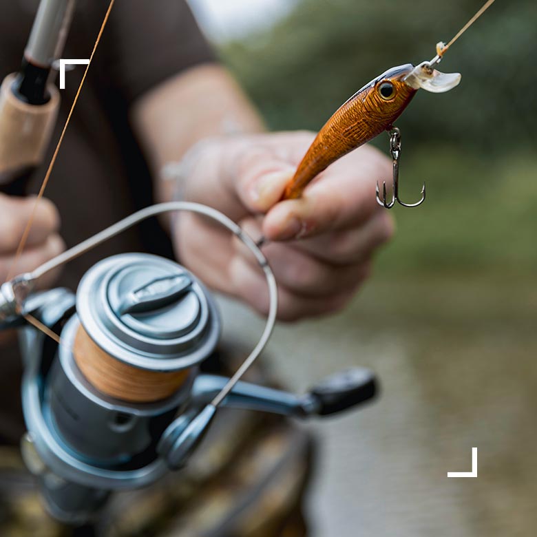 fisher-home-bait